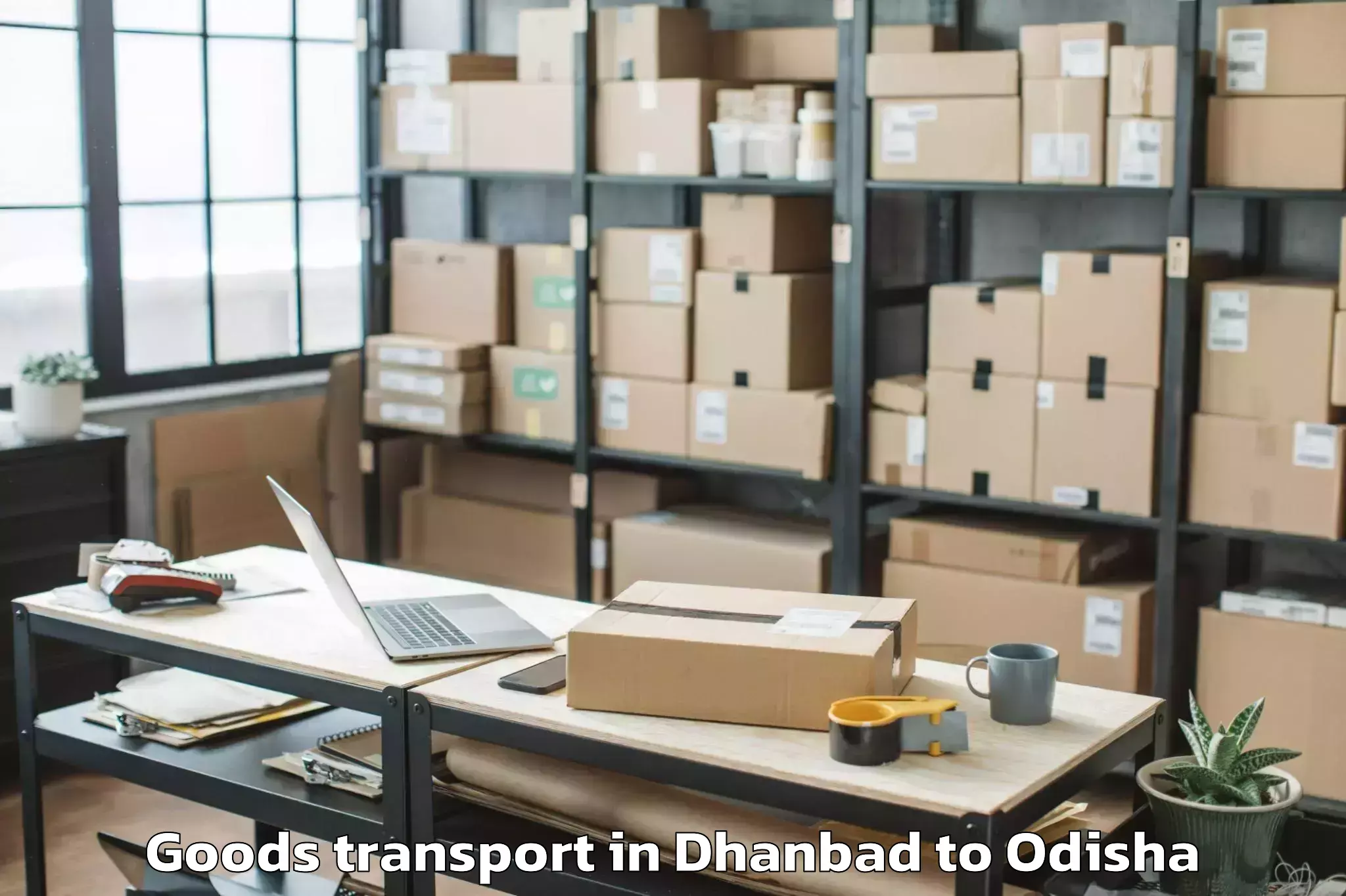 Book Dhanbad to Biridi Goods Transport